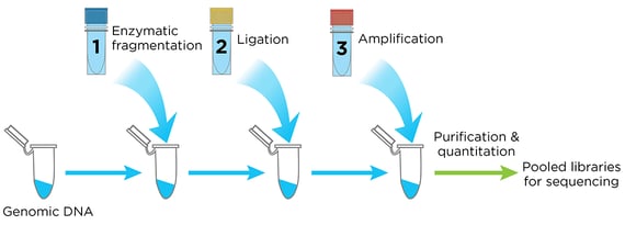 Genetic testing today and tomorrow