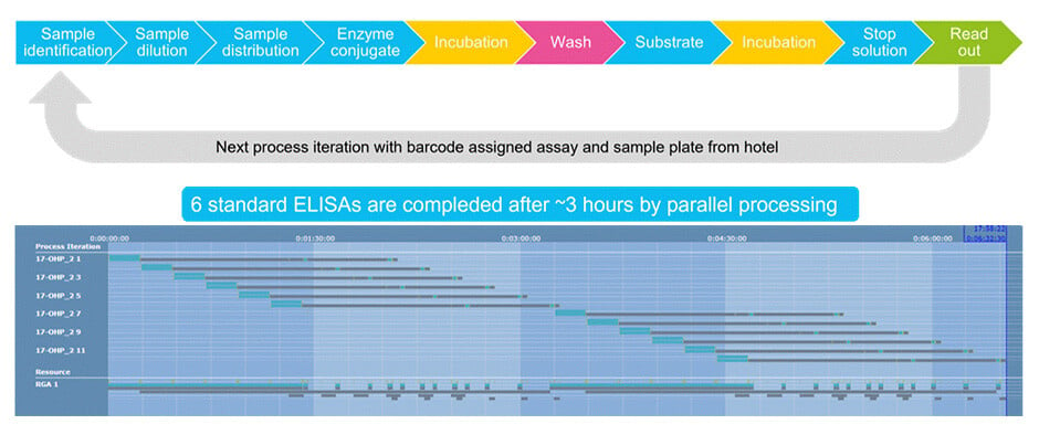 ELISA_480_workflow_with_schedule_v01_940x394px