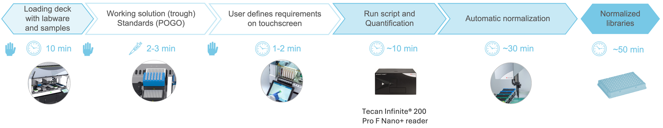 Streamline quantification and normalization of 96 samples to few minutes of hands-on time
