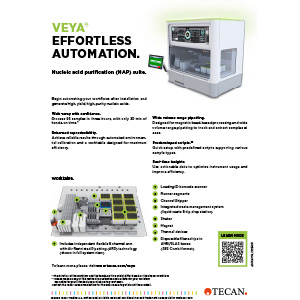 <br>Flyer