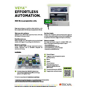 <br>Flyer