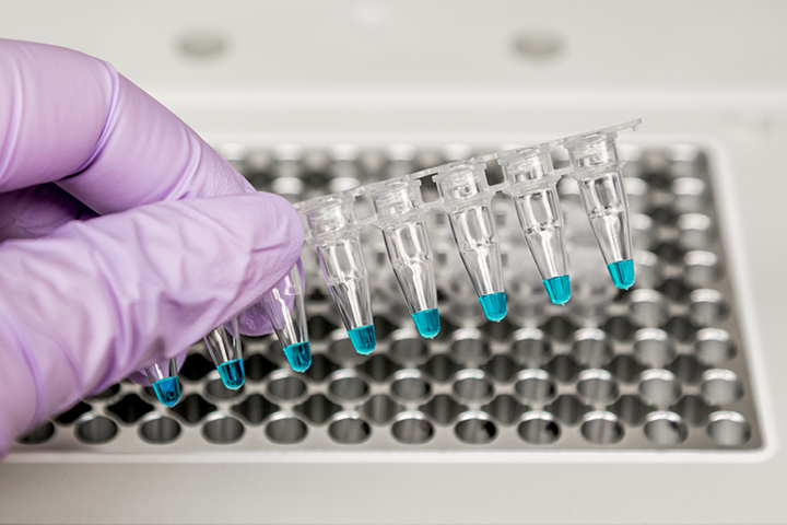 CP-GENOMICS-PCR-SET-UP_720x480