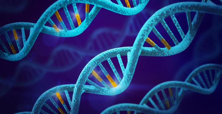 TrueMethyl® oxBS-Seq Module - Tecan Genomics